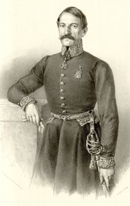 Ilija Garashanin (beskåret)
