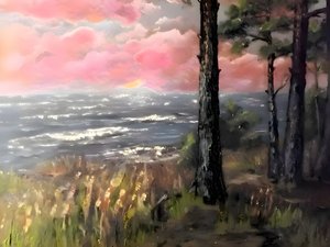 Lyserød himmel, hav og solnedgang