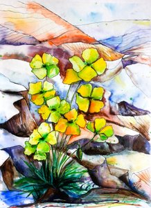 Farvestrålende bjergblomster af Anda Bieza