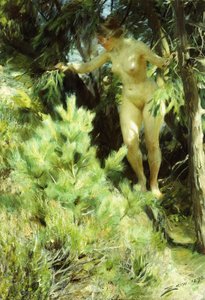 Wood-Sprite, 1892 af Anders Leonard Zorn