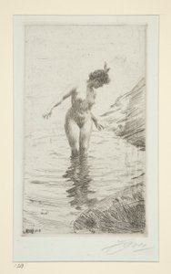 cirkler d af Anders Leonard Zorn