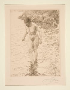 dollars af Anders Leonard Zorn