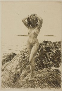Hårtång (tangkrans) af Anders Zorn