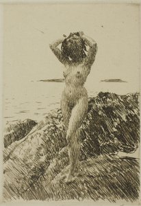 Hårtång (tangkrans) af Anders Leonard Zorn