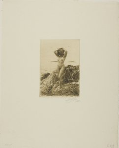 Hårtång (Havved-krans) af Anders Leonard Zorn