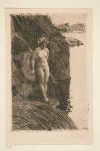 Især af Anders Leonard Zorn