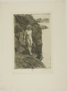 Afgrund af Anders Leonard Zorn
