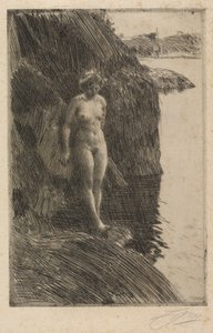 Afgrund af Anders Zorn