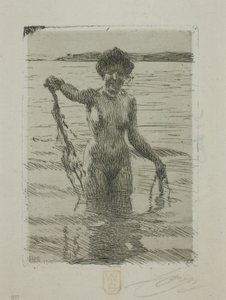Tang af Anders Leonard Zorn