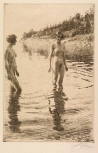 Overfladisk af Anders Leonard Zorn