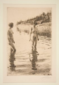 Overfladisk af Anders Leonard Zorn