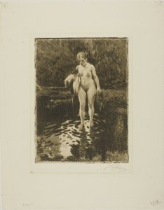 Forden af Anders Leonard Zorn