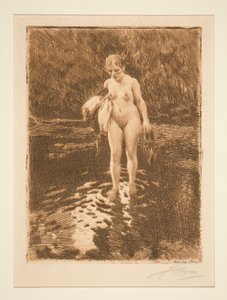Forden af Anders Leonard Zorn