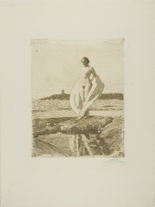 Svanen af Anders Leonard Zorn