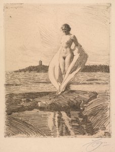 Svanen af Anders Leonard Zorn