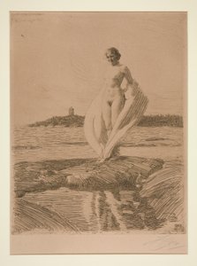 Svanen af Anders Leonard Zorn