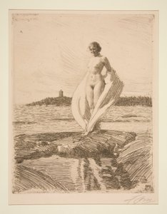 Svanen af Anders Leonard Zorn