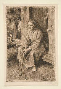 Med protein af Anders Leonard Zorn