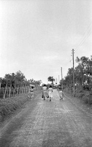 BITTERE DRUER - MOD DEN TILDELTE POST af Ando Gilardi