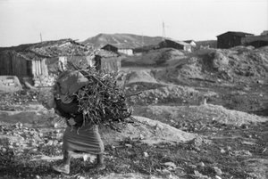 CROTONE - HUSMODEREN af Ando Gilardi