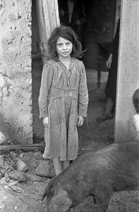 CROTONE COUNTRYSIDE - PIGE OG GRIS