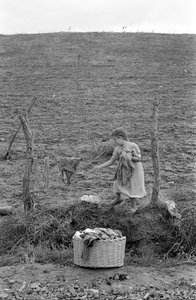 CROTONE COUNTRYSIDE - DET LILLE VASKERI,