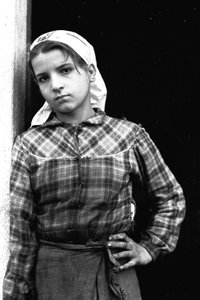 Ung pige arbejder som olivenplukker i Calabrien, Italien, ca. 1955 (s/h-foto)