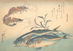 Aji Fish og Kuruma-ebi, fra serien Uozukushi Every Variety of Fish, 1830