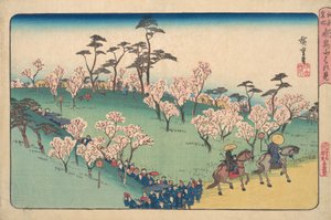 Se Asukayama kirsebærblomster. af Ando Hiroshige