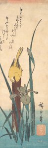 Fugl og Iris. af Ando Hiroshige