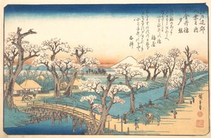 Aftenglød ved Koganei-grænsen, 1800-tallet. af Ando Hiroshige