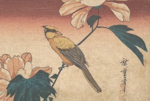 Hibiscus Mutabilis og Jay, ca. 1840, ca. 1840 af Ando Hiroshige