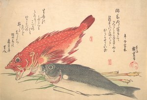 Isaki og Kasago Fish, fra serien Uozukushi Every Variety of Fish, 1830