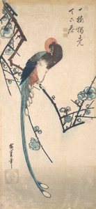 Langhalet fugl. af Ando Hiroshige