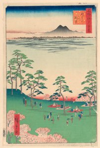 Udsigt mod nord fra Asuka Hill (Asuka-yama Kita no Chobo) Fra Series One Hundred Berømte udsigter over Edo