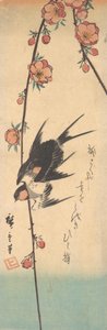 Pæreblomster og svaler, ca. 1840., ca. 1840. af Ando Hiroshige