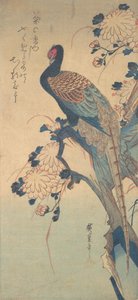 Fasan med krysantemum, ca. 1835., ca. 1835. af Ando Hiroshige