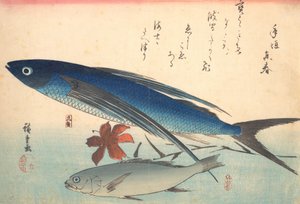Tobiuo og Ishimochi Fish, fra serien Uozukushi Every Variety of Fish, 1840