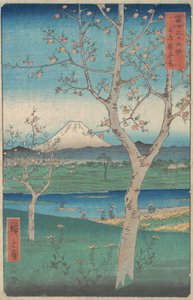 Udsigt over Mount Fuji fra Koshigaya, Musashi Musashi-provinsen, Kos..., 4. måned, Hesteår 1858.