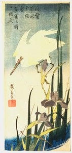 Hvid hejre og iris, 1833 af Ando Hiroshige