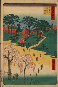 ""Hundrede berømte udsigter over Edo"" (Dagens Tokyo): Tempelhaver i Nippori. Tokyo byudsigt i Japan. (Tempelhaverne i Nippori (Hundrede berømte udsigter over Edo). Japansk tryk af Utagawa Hiroshige (1797-1858) af Ando or Utagawa Hiroshige