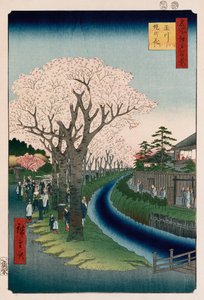 "Cherry Blossoms, Tama River Embankment" af Ando or Utagawa Hiroshige
