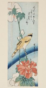 Hibiscus og sortnavet Oriole (farvet træbloktryk)