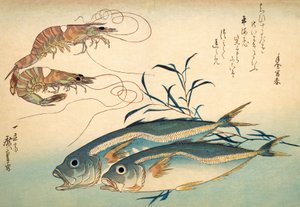 Japansk hestemakrel og japansk tigerreje (farvet træbloktryk) af Ando or Utagawa Hiroshige