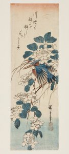 Kingfisher og Viburnum (træbloktryk i farver) af Ando or Utagawa Hiroshige