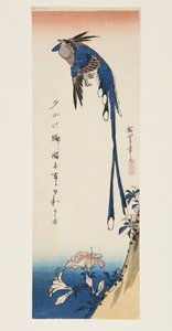 Magpie og Azalea (træbloktryk i farver) af Ando or Utagawa Hiroshige
