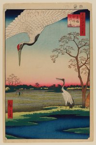 Minowa, Kanasugi, Mikawashima af Ando or Utagawa Hiroshige