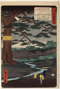 Miyuki Pine (træbloktryk i farver) af Ando or Utagawa Hiroshige