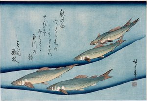 Riverrout", fra serien "Collection of Fish" af Ando or Utagawa Hiroshige