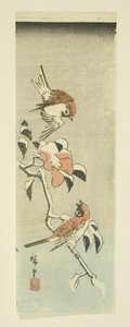 Spurve og Camellia i sne (farvet træbloktryk) af Ando or Utagawa Hiroshige